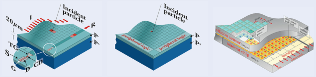 A CCD, MAPS and hybrid chip