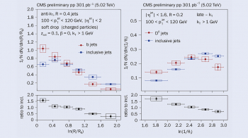 CMS peers inside heavy-quark jets